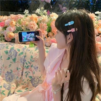 成凰录